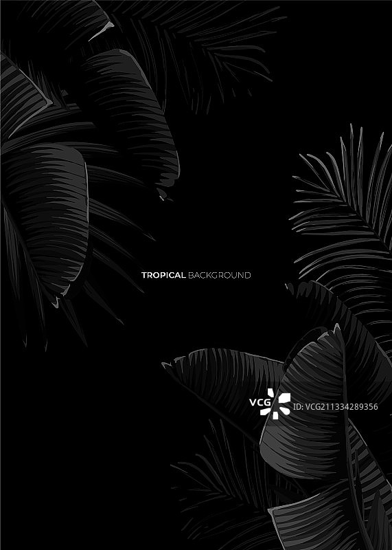 异域香蕉图案深色单色热带设计图片素材