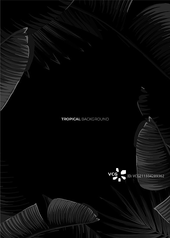 异域香蕉图案深色单色热带设计图片素材
