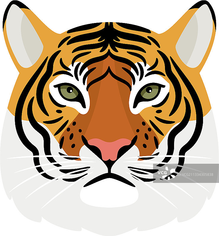 白色背景上的老虎头图片素材