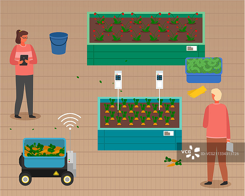 城市女性园艺农业图片素材