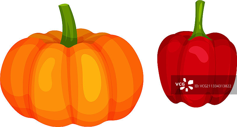 成熟的蔬菜，健康的生食，还有南瓜图片素材