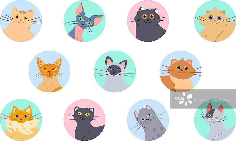 有趣的各种品种小猫头像图片素材