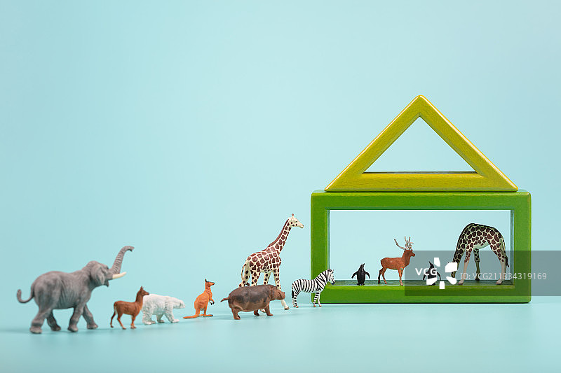 微缩创意保护野生动物迁徙进入一个积木房子图片素材