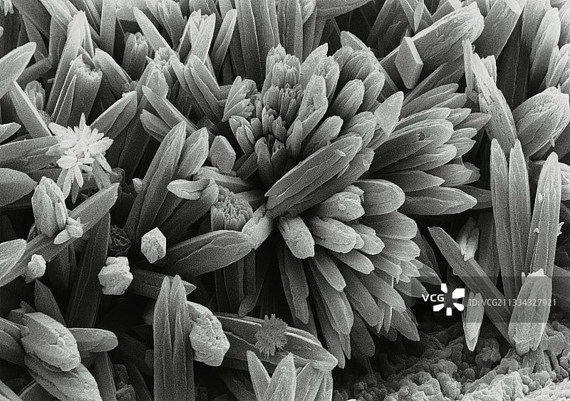 水垢的扫描电镜图图片素材