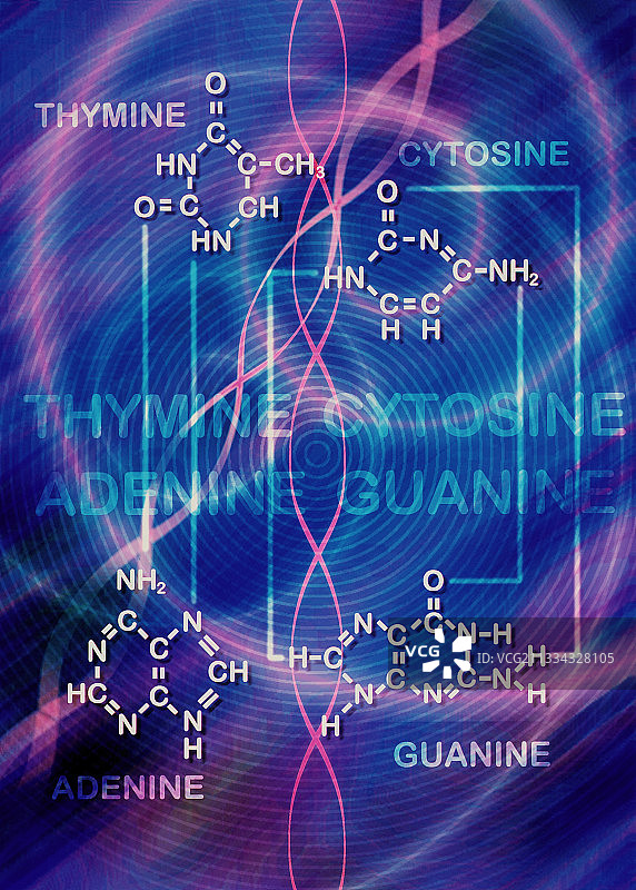 DNA碱基图片素材