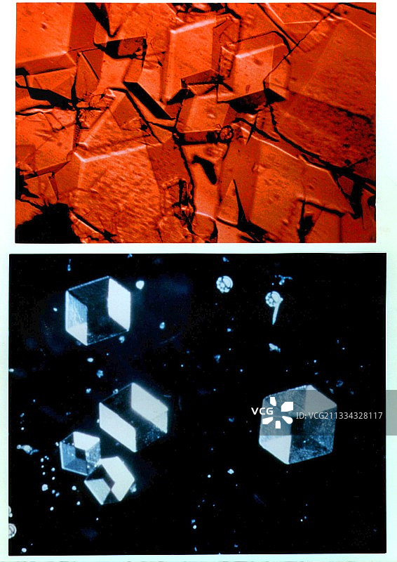 植物蛋白质晶体图片素材