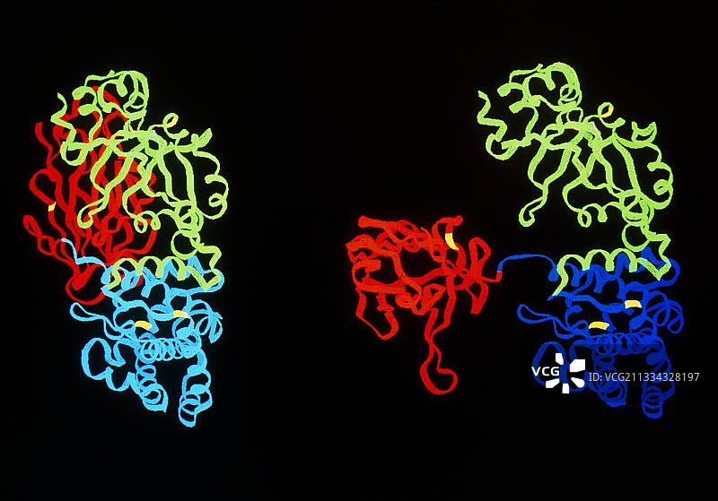 白喉毒素的分子图图片素材