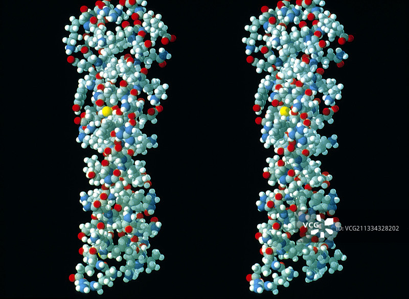 蛋白质角蛋白的分子图图片素材