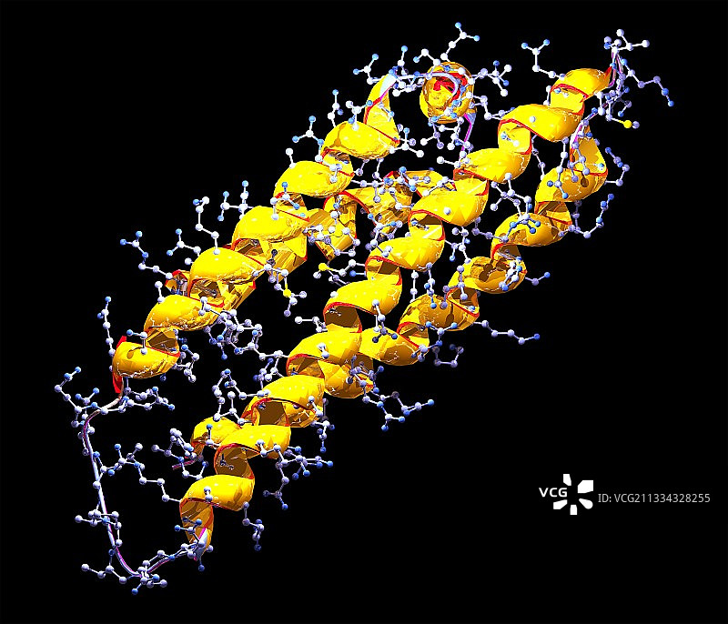 ApoE蛋白图片素材