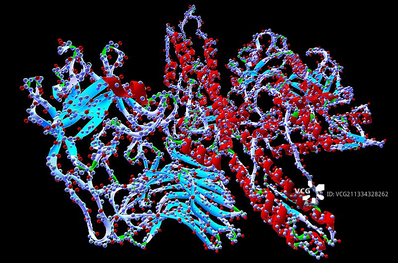 肉毒杆菌毒素图片素材