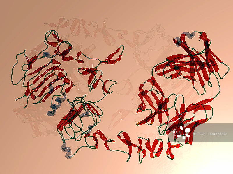 乳腺癌药物赫赛汀图片素材