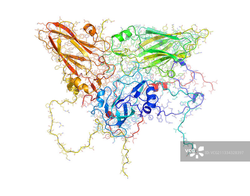 口蹄疫病毒表面蛋白图片素材