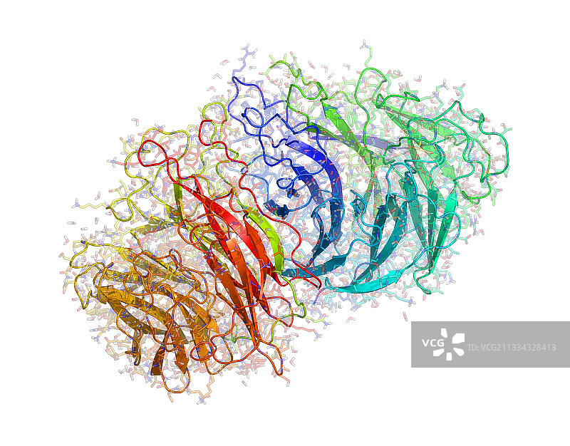 B型流感病毒神经氨酸酶图片素材