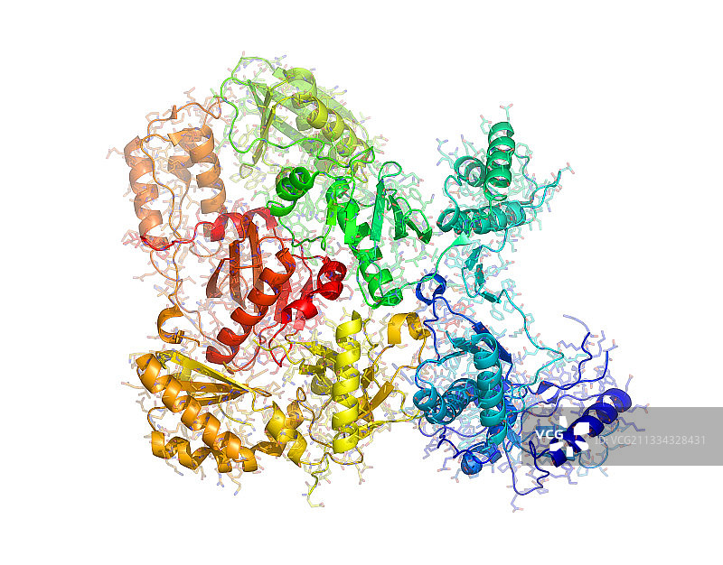 HIV逆转录酶图片素材