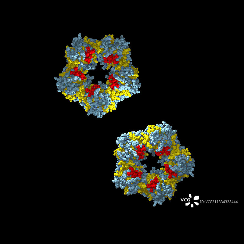 C反应蛋白分子模型图片素材