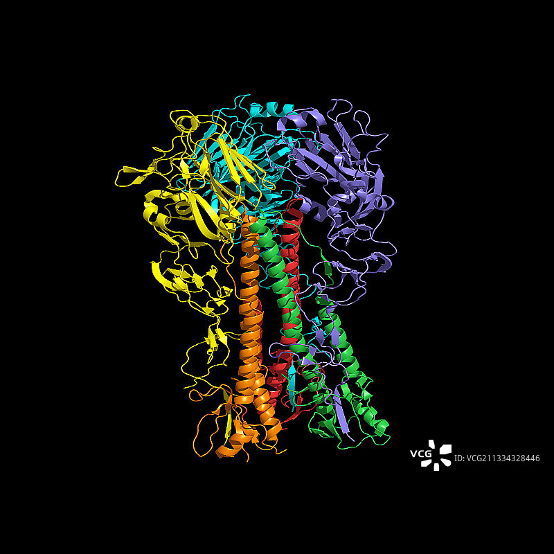血凝素病毒表面蛋白图片素材