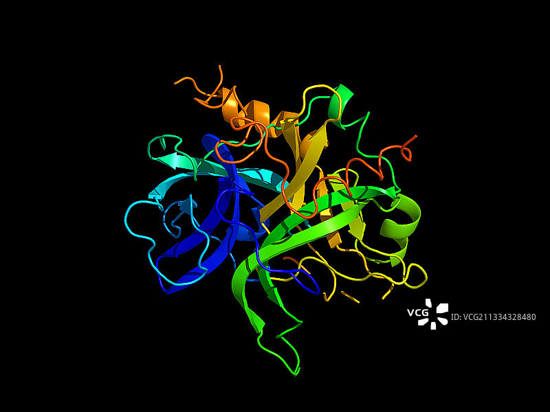 凝血酶蛋白二级结构图片素材