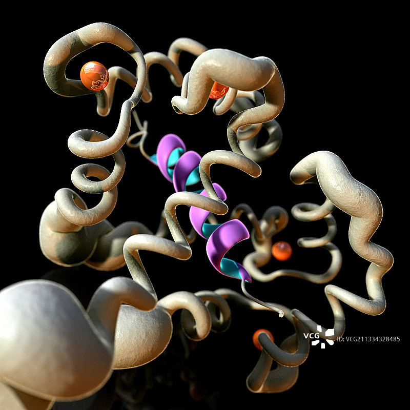 钙结合蛋白分子图片素材