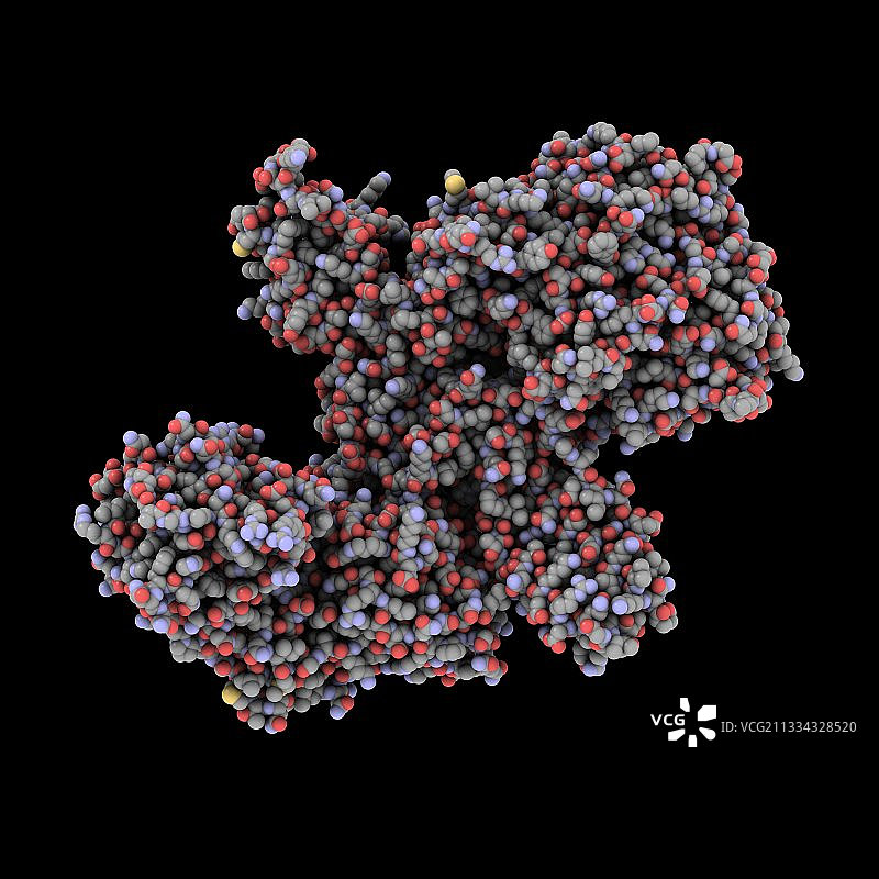A型肉毒杆菌毒素分子模型图片素材
