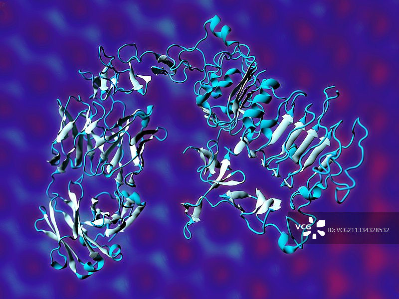 赫赛汀乳腺癌药物分子图片素材