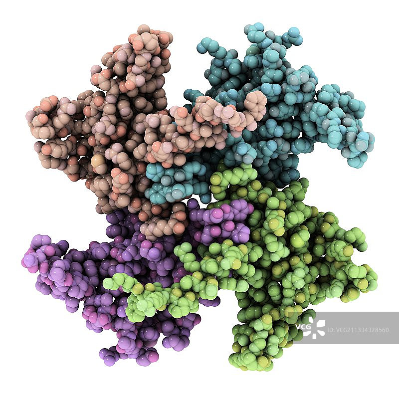 RNA加工蛋白分子模型图片素材