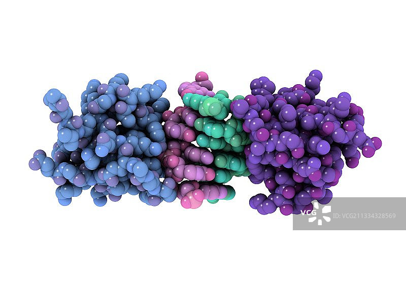 RNA编辑酶分子模型图片素材