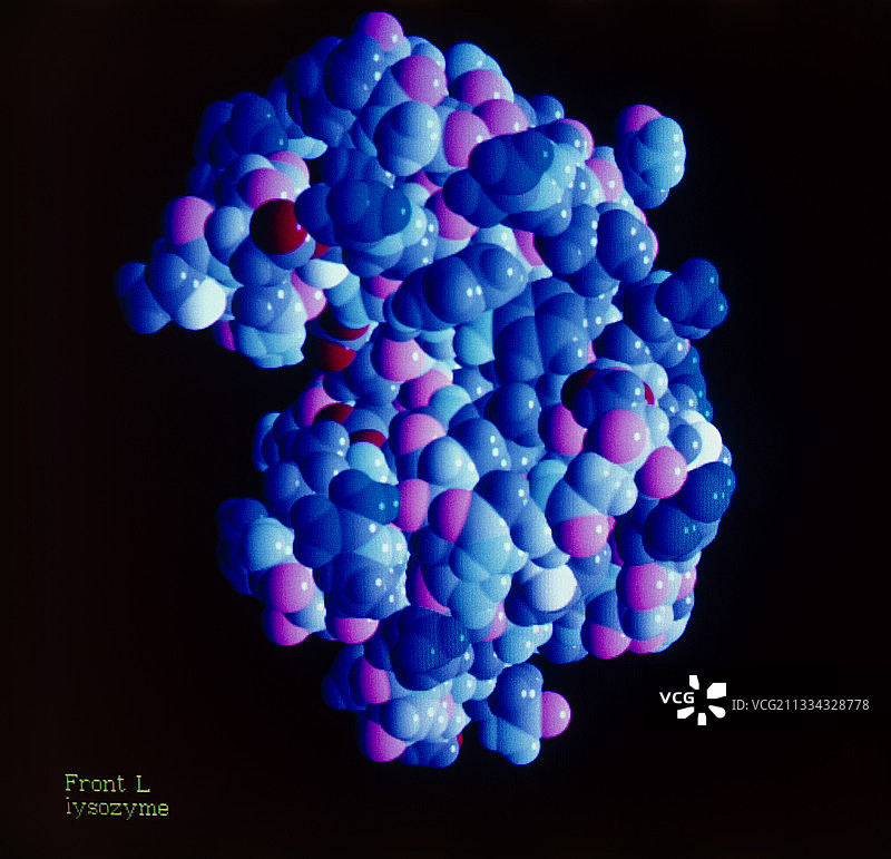 溶菌酶分子图片素材