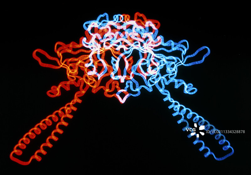 丝氨酰tRNA合成酶分子图片素材