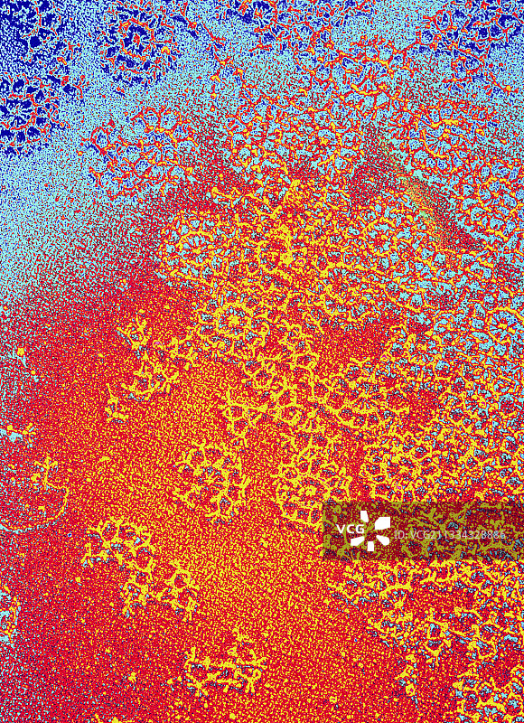 极端微生物的稳定酶图片素材