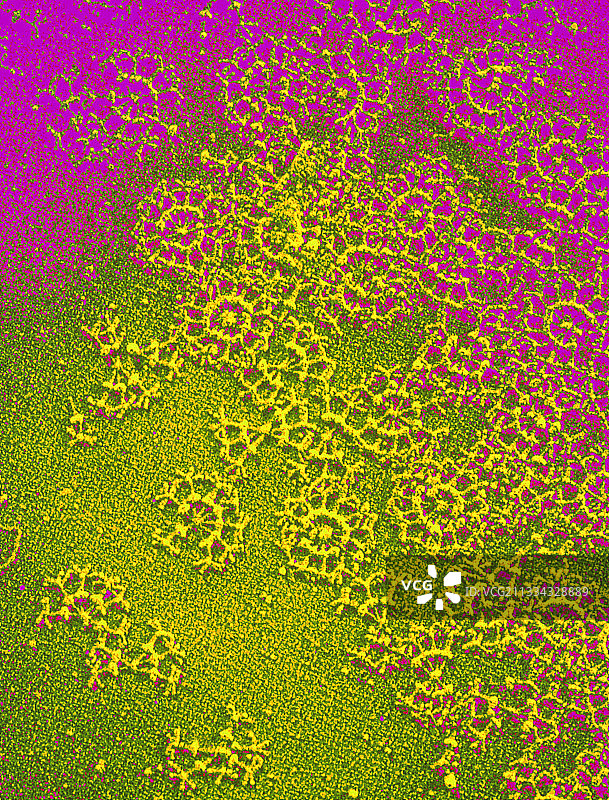 极端微生物的稳定酶图片素材
