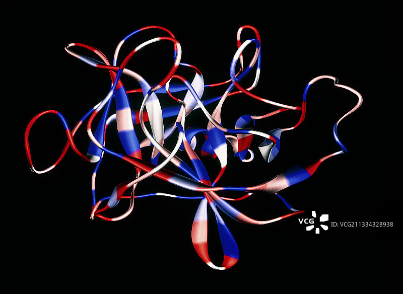 弹性蛋白酶分子图片素材