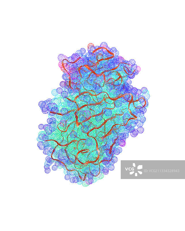 胃蛋白酶分子图片素材