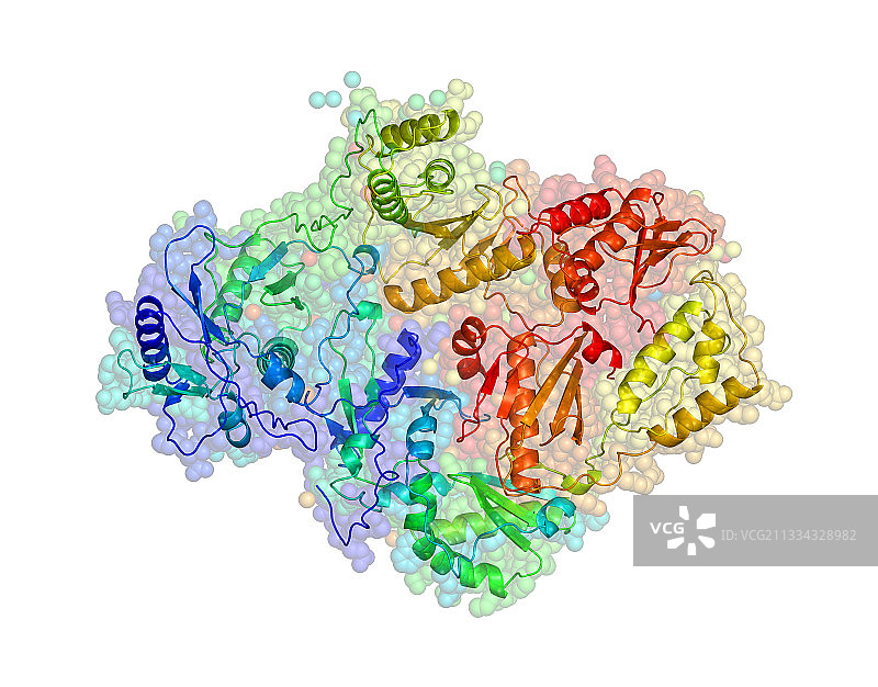 HIV逆转录酶图片素材