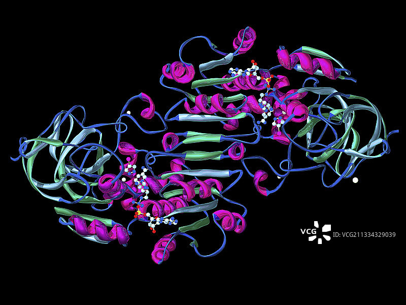 乙醇脱氢酶分子模型图片素材