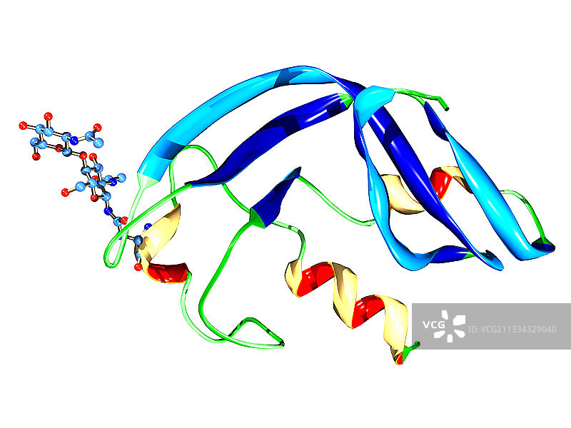合成核糖核酸酶分子图片素材