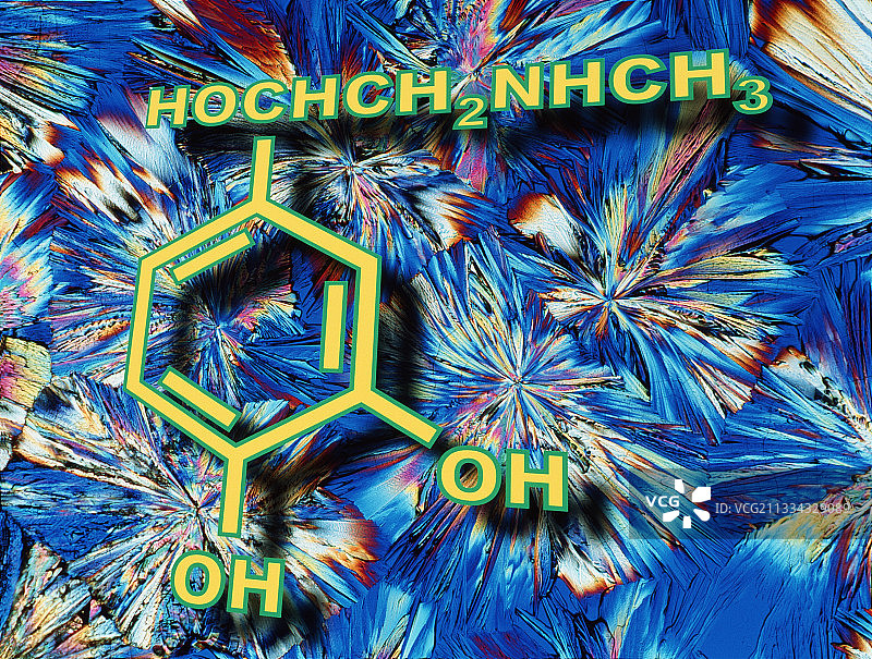 肾上腺素图片素材