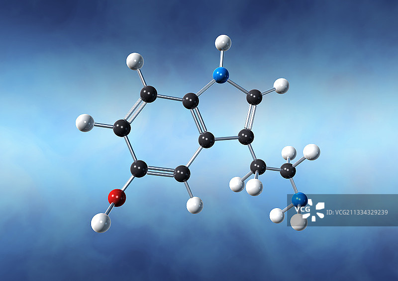血清素神经递质分子图片素材