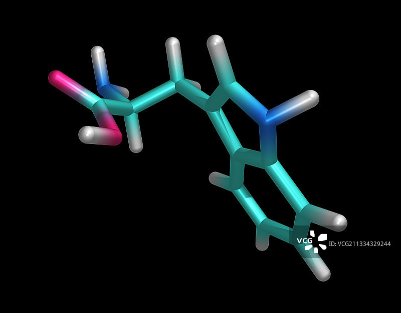 色氨酸氨基酸分子图片素材