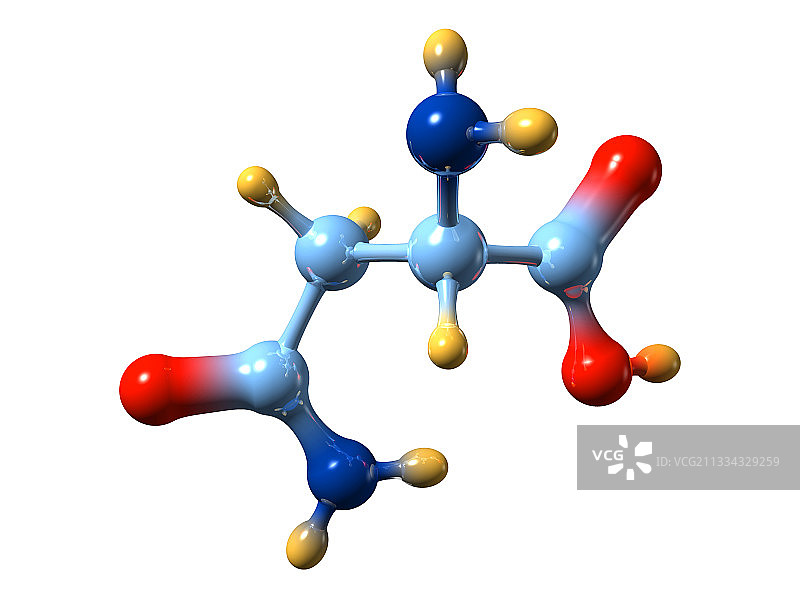 天冬酰胺分子模型图片素材