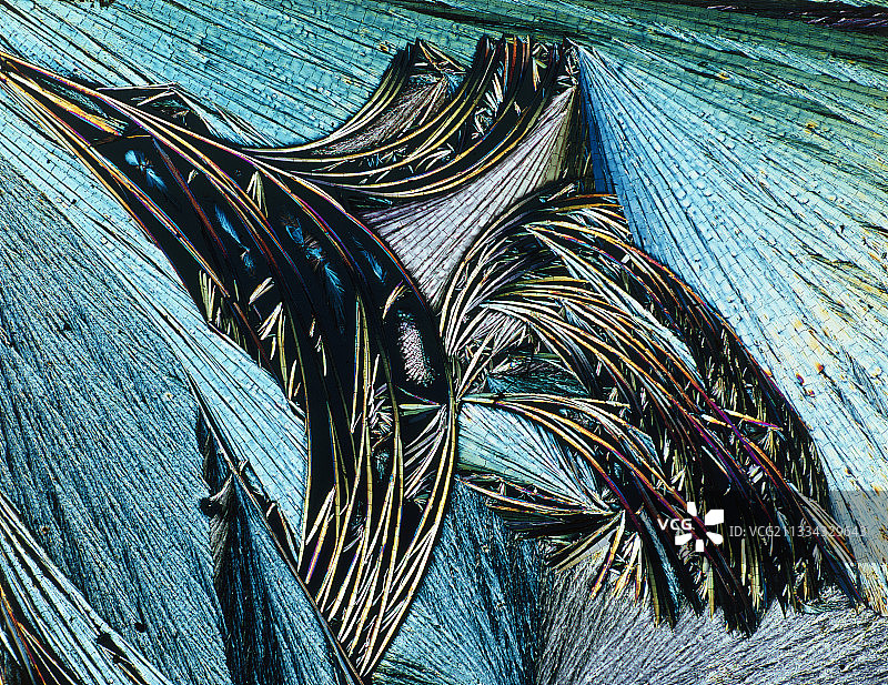 烟酰胺晶体的偏光显微镜图片素材