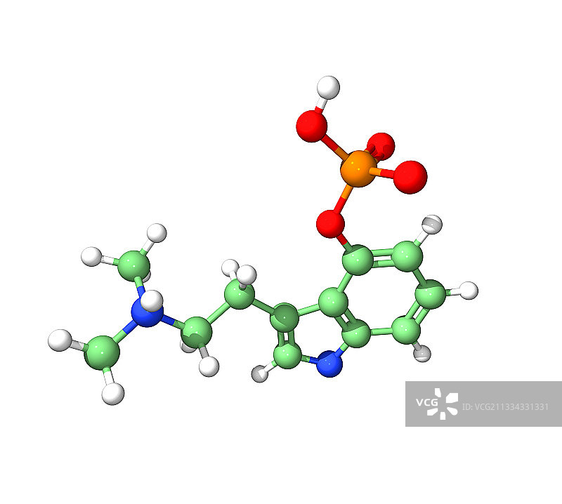 裸盖菇素图片素材