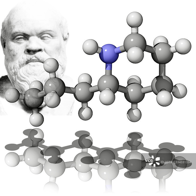 毒芹碱与受害者苏格拉底图片素材