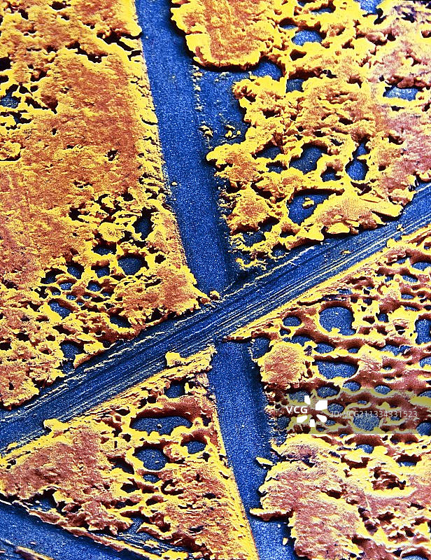 二硫化钼的伪彩色扫描电子显微镜图像图片素材