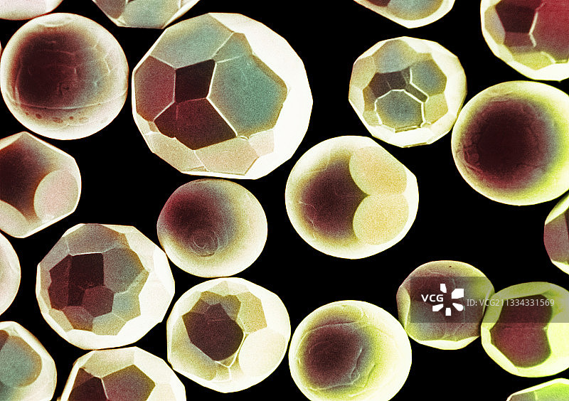 精细的镉粉末晶体图片素材