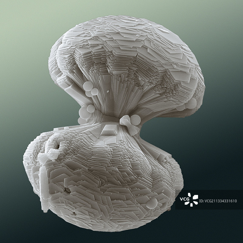 氟磷灰石晶体，扫描电子显微镜图片素材