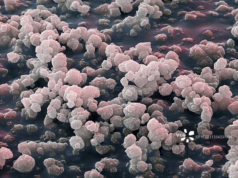 沸石催化剂晶体，SEM图片素材