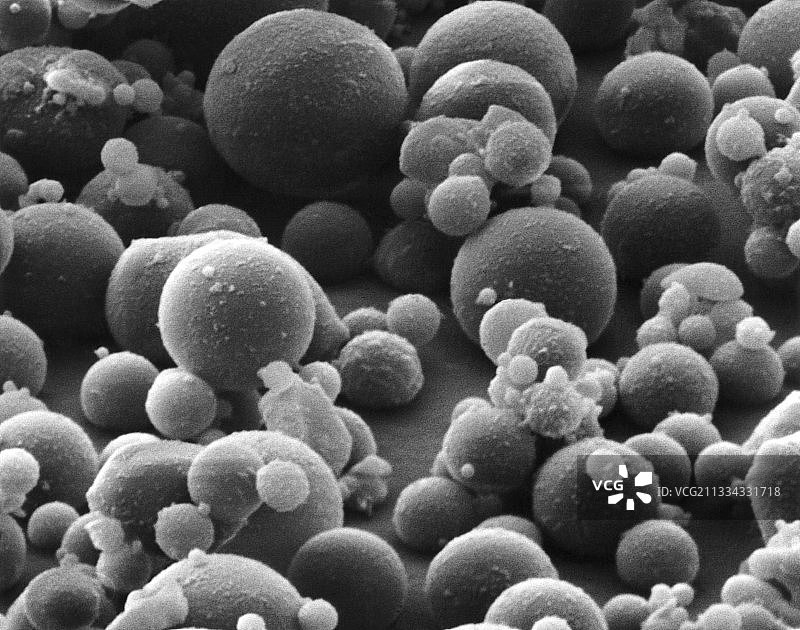 煤灰的扫描电子显微镜照片图片素材