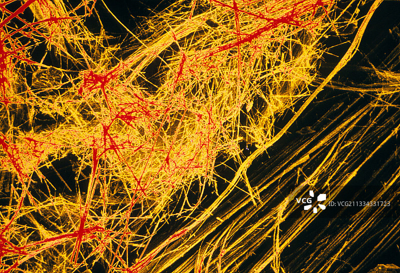 蓝色石棉纤维图片素材