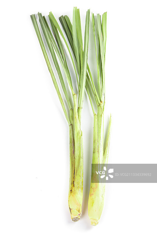 白底上的香茅草图片素材