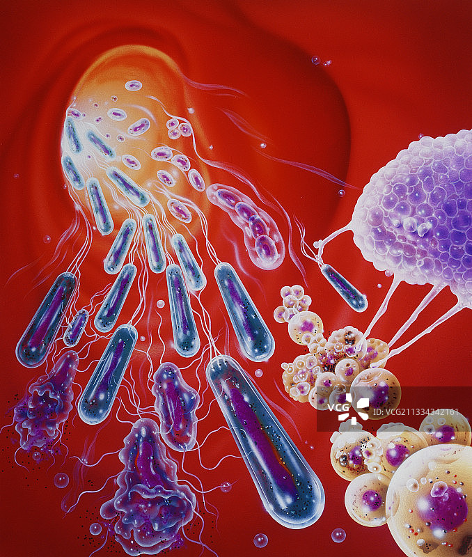 作用于细菌的抗生素图片素材